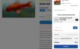 Shrimpy Business coupon verification screenshot