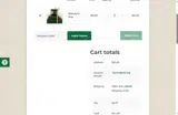 AllOut9 coupon verification screenshot