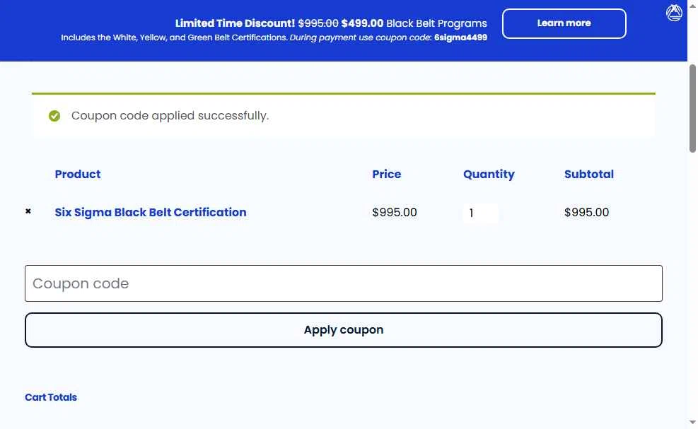 Six Sigma Online checkout page showing Six Sigma Online promo code box | Screenshot taken by SimplyCodes community member on May 23, 2025
