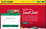 SAVEYASLAP coupon verification screenshot