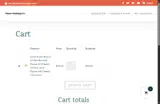 INSP0FITS coupon verification screenshot