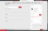 Sneaky Pete Holsters coupon verification screenshot