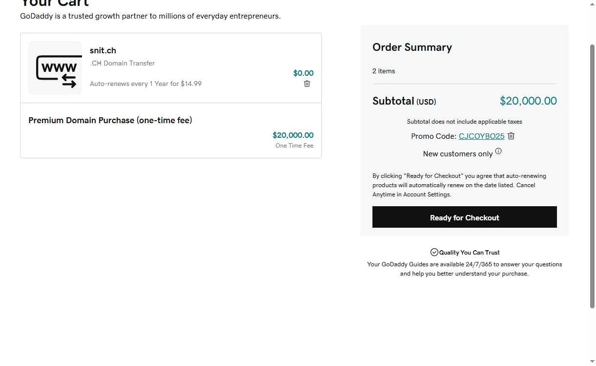 Snitch AI checkout page showing Snitch AI promo code box | Screenshot taken by SimplyCodes community member on Jan 31, 2026