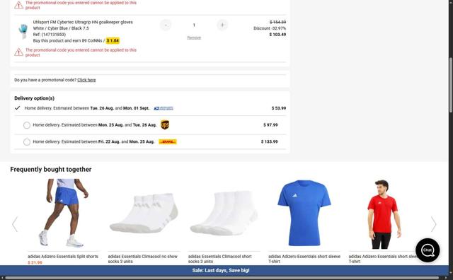 Snowinn checkout page showing Snowinn promo code box | Screenshot taken by SimplyCodes community member on Aug 20, 2025