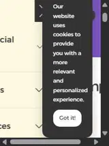 BFCM2025 coupon verification screenshot