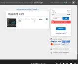 2FOR29 coupon verification screenshot