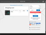2FOR29 coupon verification screenshot