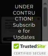 ANA coupon verification screenshot