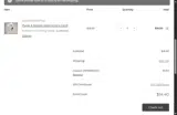 SPRINGDAY coupon verification screenshot