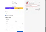South Boutique coupon verification screenshot