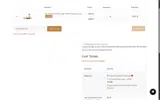 Steinel Ammunition coupon verification screenshot