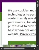 BANKHOL20 coupon verification screenshot