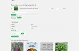 SPRING10 coupon verification screenshot