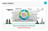 promotion1 coupon verification screenshot