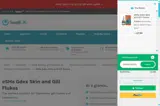 EMBROWSE5 coupon verification screenshot