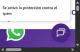pocho coupon verification screenshot
