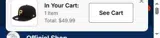 Tampa Bay Rays coupon verification screenshot