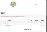 KARMA20 coupon verification screenshot