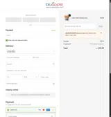 The Bluapple coupon verification screenshot