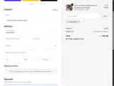The Flat Lay Co US coupon verification screenshot
