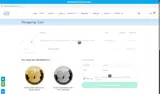 The Israel Boutique coupon verification screenshot