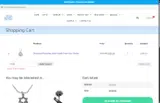The Israel Boutique coupon verification screenshot