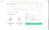 The Israel Boutique coupon verification screenshot