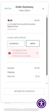 SNOWDAYS coupon verification screenshot