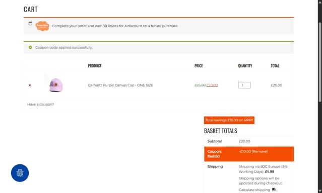 The Rainy Days checkout page showing The Rainy Days discount code box | Screenshot taken by SimplyCodes community member on Aug 8, 2025