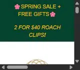 LANCER coupon verification screenshot