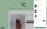TillysCrafts coupon verification screenshot