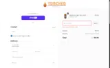 10FEMU coupon verification screenshot