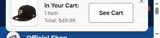 Toronto Blue Jays coupon verification screenshot