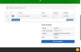 brianswingset coupon verification screenshot