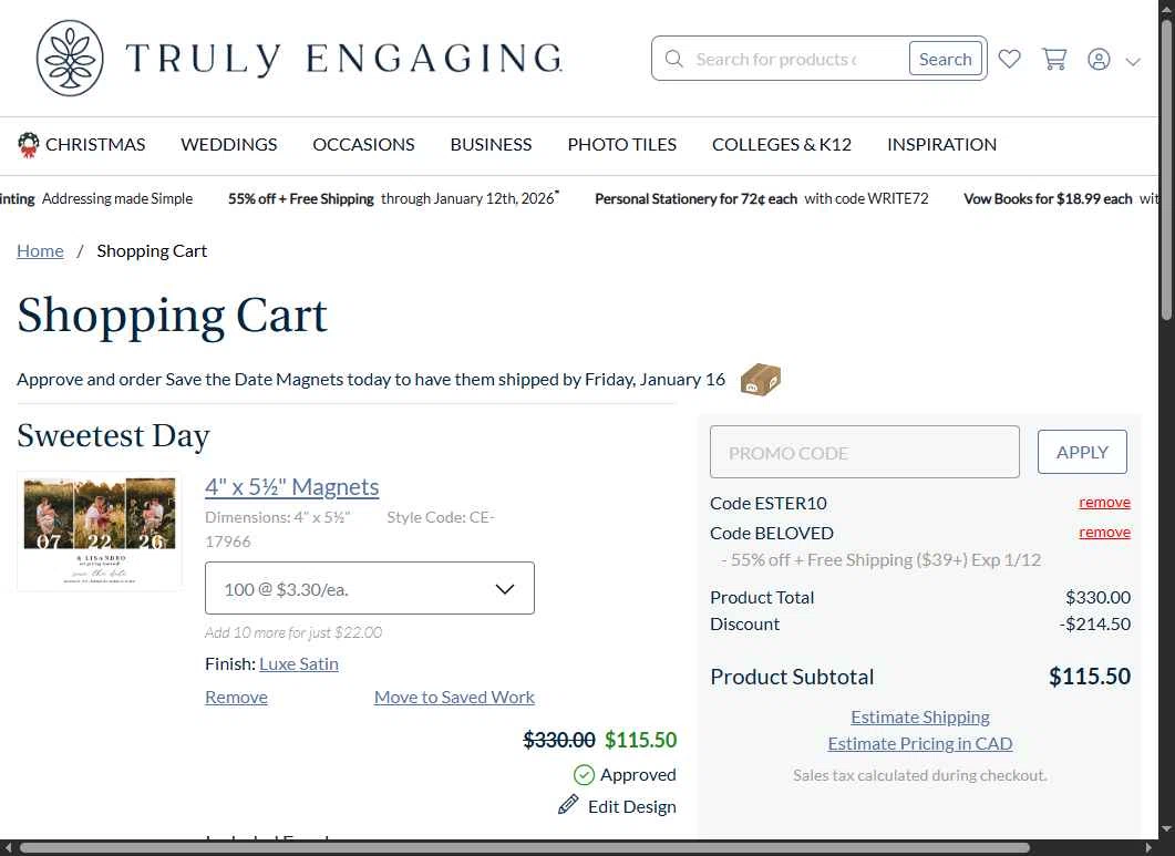 Truly Engaging checkout page showing Truly Engaging promo code box | Screenshot taken by SimplyCodes community member on Jan 13, 2026