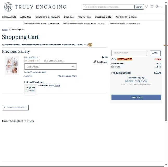 Truly Engaging checkout page showing Truly Engaging promo code box | Screenshot taken by SimplyCodes community member on Jan 23, 2026