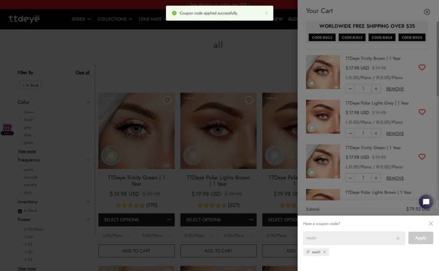 TTDeye checkout page showing TTDeye promo code box | Screenshot taken by SimplyCodes community member on Sep 8, 2025