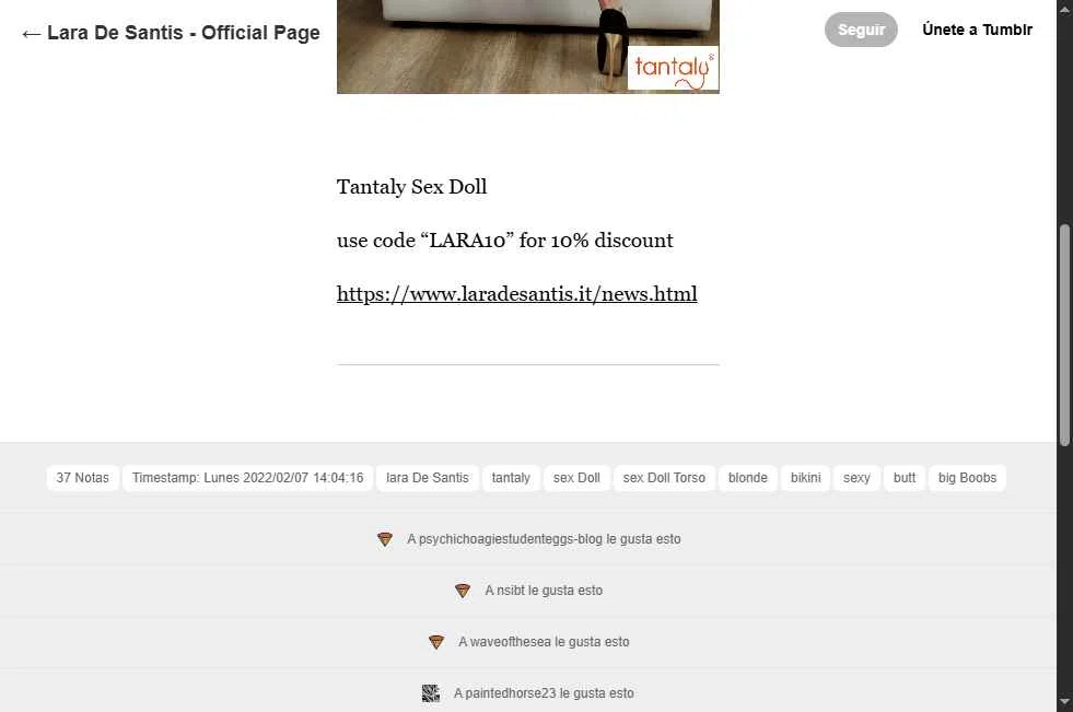 Tumblr checkout page showing Tumblr discount code box | Screenshot taken by SimplyCodes community member on Nov 29, 2025