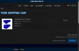 NEWTURBO10 coupon verification screenshot