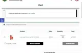20GIFT coupon verification screenshot