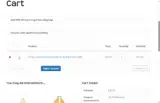 tryvermont10 coupon verification screenshot