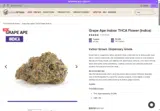 VIDA20 coupon verification screenshot