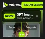 VidMage coupon verification screenshot