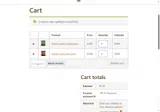 Vigil's Beef Jerky coupon verification screenshot