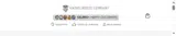 Viking Goods Company coupon verification screenshot