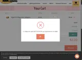 BESTSEASON coupon verification screenshot