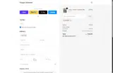 Vizcaya Swimwear coupon verification screenshot