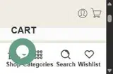 SAVE20 coupon verification screenshot