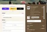 CUSTOM25 coupon verification screenshot