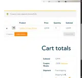 10NEKO coupon verification screenshot